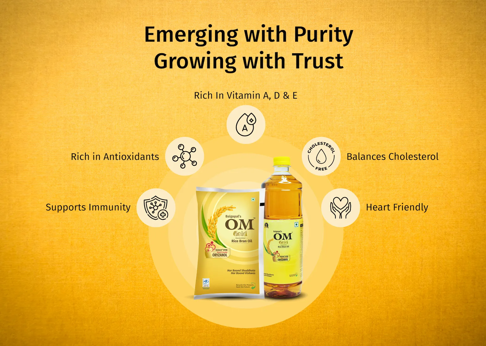 The Science Behind Rice Bran Oil: What Your Body Gains When You Switch